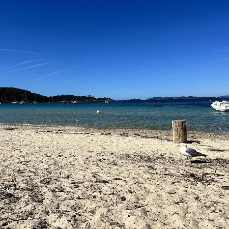 Le Cocon Provencal, T2 Centre * Hyères